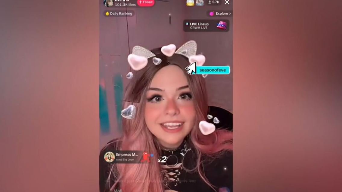 tiktok.JPG