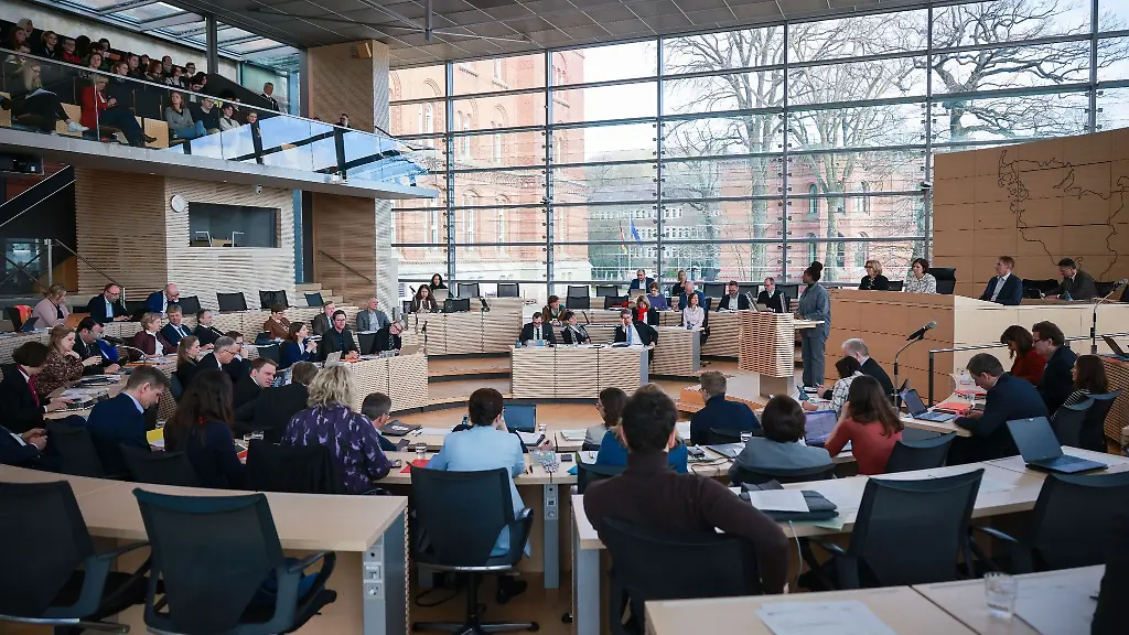 Gruene-Abgeordnete-Aminata-Toure-spricht-bei-einer-Sitzung-des-Landtags-im-Plenarsaal