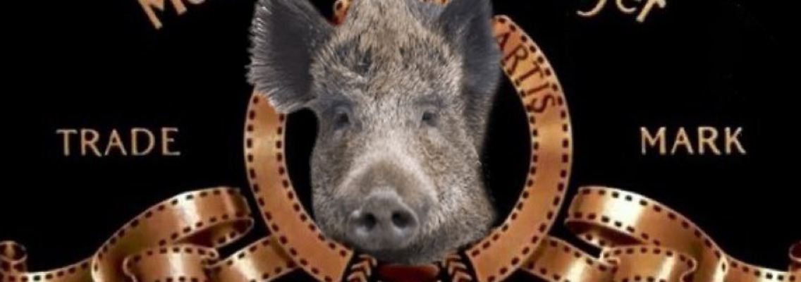 wildschwein MGM.jpg