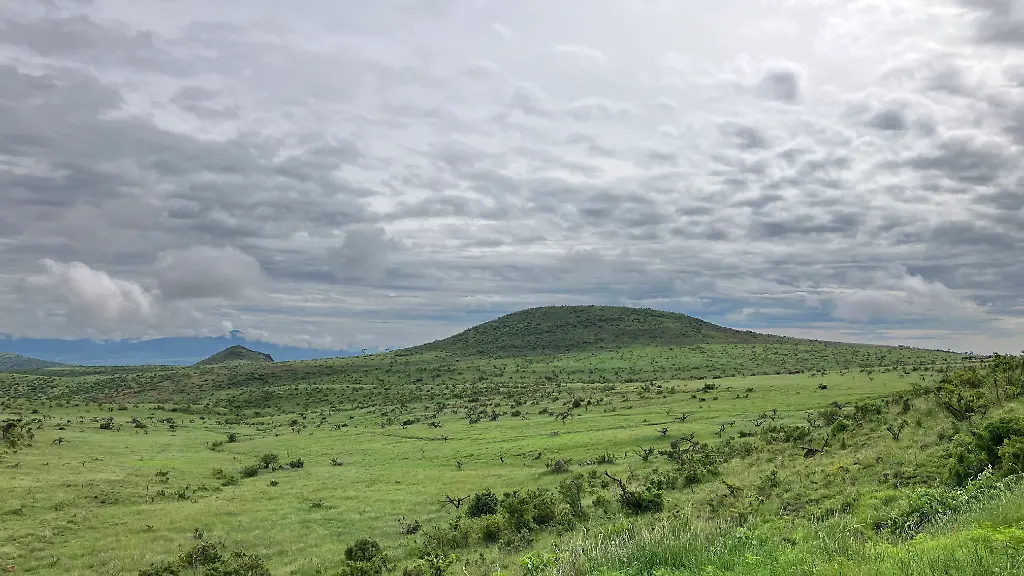 ACHTUNG-Frei-nur-im-Zusammenhang-mit-der-Berichterstattung-ueber-die-Studie