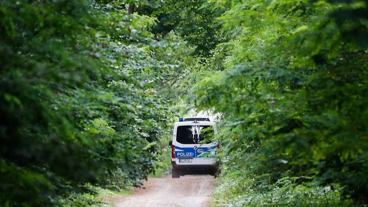 Im Wald bei Kleinmachnow war Ende vergangener Woche ganz schön was los.
