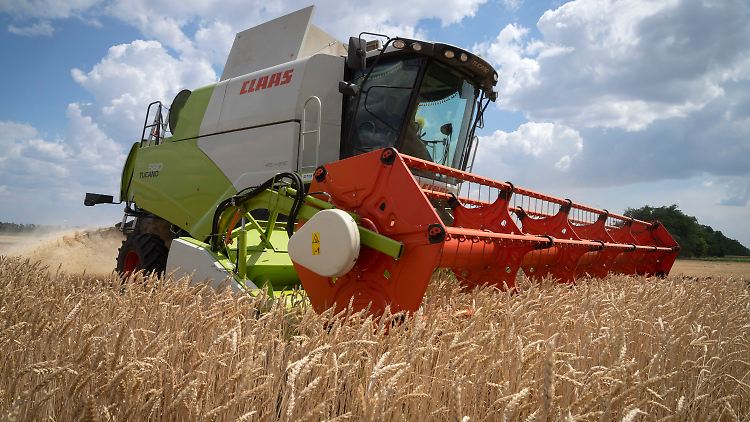 Ein Bauer drischt Anfang Juli 2022 zehn Kilometer von der Frontlinie entfernt in der Region Dnipropetrowsk in der Ukraine den Weizen auf seinem Feld.