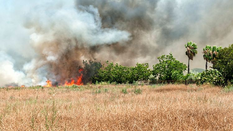 Ein Brand auf Sizilien, das im vergangenen Jahr ebenfalls unter Rekordhitze litt.