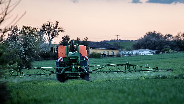 Glyphosat sei wie kein anderes Produkt dafür verantwortlich, dass Insekten und Vögel aus der Kulturlandschaft verschwänden, so DUH-Geschäftsführer Resch.