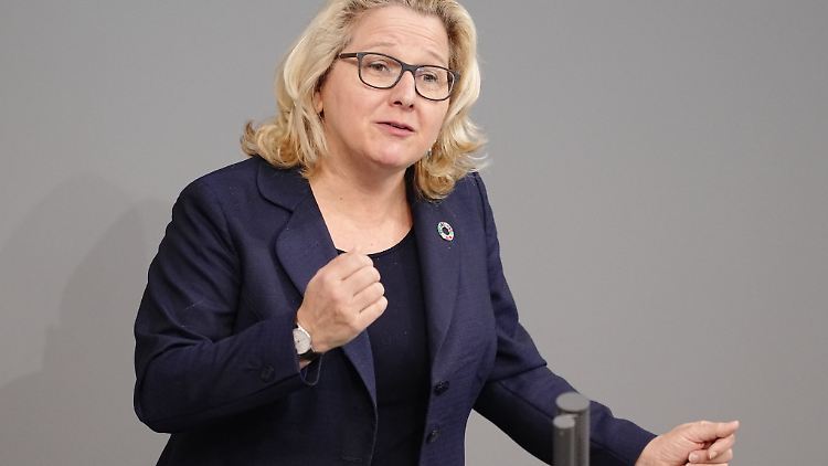 Entwicklungsministerin Svenja Schulze spricht bei einer Sitzung des Bundestags zu den Abgeordneten.