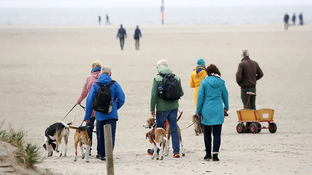 Passanten-sind-mit-angeleinten-Hunden-am-Strand-von-St-Peter-Ording-unterwegs