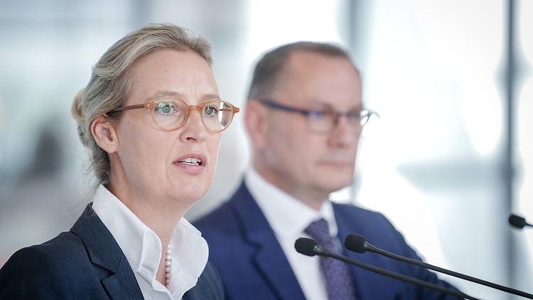 AfD-Bundessprecher Weidel und Chrupalla blicken auf ein erfolgreiches halbes Jahr zurück.
