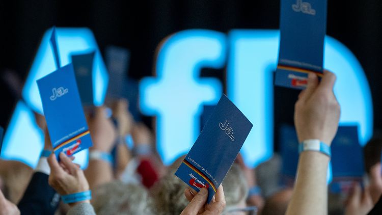 Was auf AfD-Parteitagen eine Mehrheit findet, wird nicht unbedingt von einer Mehrheit der Deutschen unterstützt.