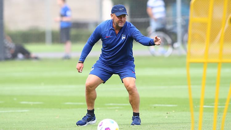 Trainer Pal Dardai hat bei Hertha BSC nun seine drei Söhne auf dem Trainingsplatz.