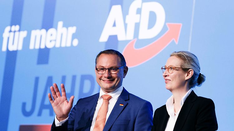 Das AfD-Führungsduo Chrupalla und Weidel zum Start des Parteitags in Magdeburg: Chrupalla lobt die neue "Harmonie" in der Partei.
