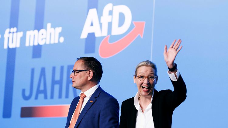 "Wir wollen in Europa Mehrheiten haben gegen die etablierten Parteien, die sich Europa zur Beute gemacht haben", sagte Weidel.