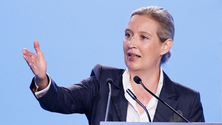 Brandmauer, "Bollwerk", "Festung": Alice Weidel hat viel vor.