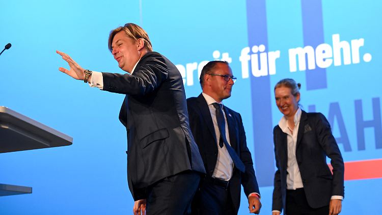 Die AfD wählt Maximilan Krah zum Spitzenkandidaten für die Europawahl in knapp einem Jahr - die Bundessprecher Chrupalla und Weidel gratulierten als Erste.