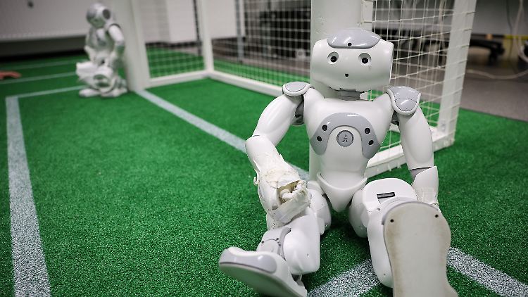Spielen irgendwann nur noch intelligente Roboter Fußball?