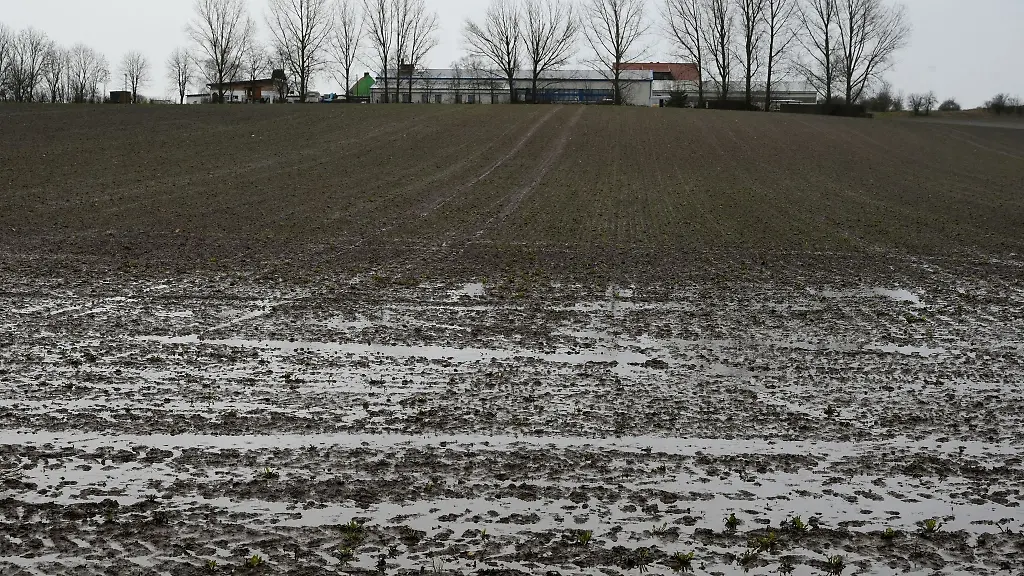 Ein-durchnaesster-Acker