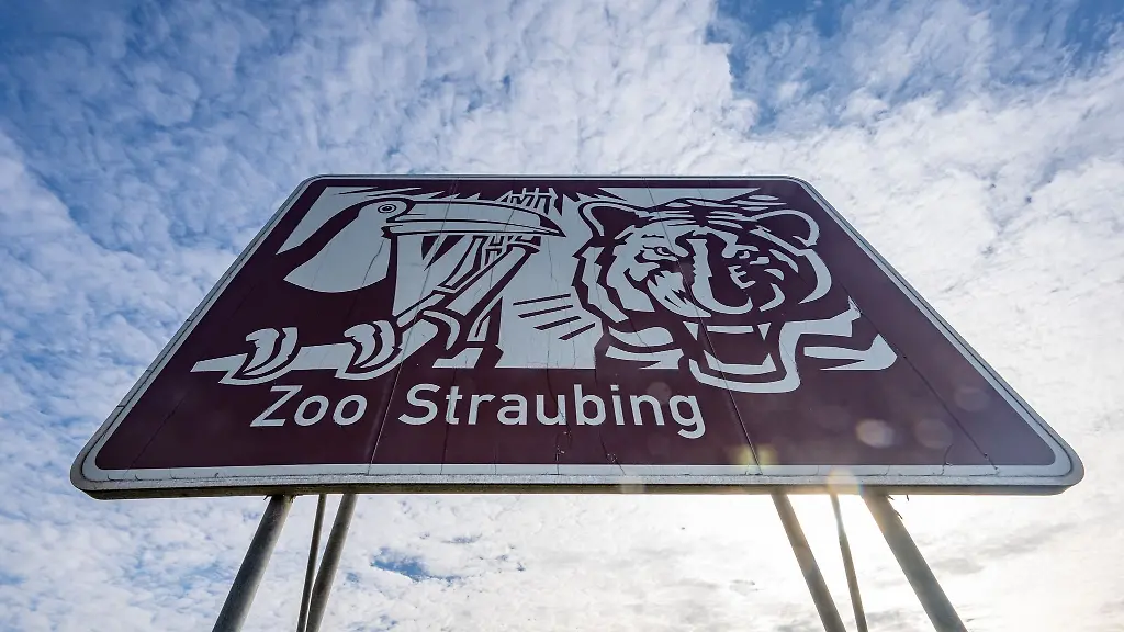 Zoo-Straubing-steht-auf-einem-Hinweisschild-an-der-Autobahn-A3-Der-Straubinger-Stadtrat-lehnte-am-19-Februar-die-Erneuerung-der-Tiergarten-Werbeschilder-entlang-der-A3-ab