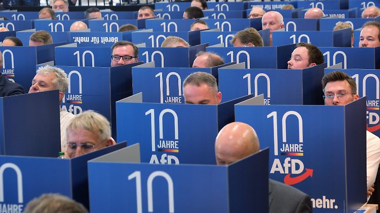 Delegierte auf dem Magdeburger AfD-Parteitag am vergangenen Wochenende. Die höchste Einzelspende des ersten Halbjahres 2023 ging an die AfD.