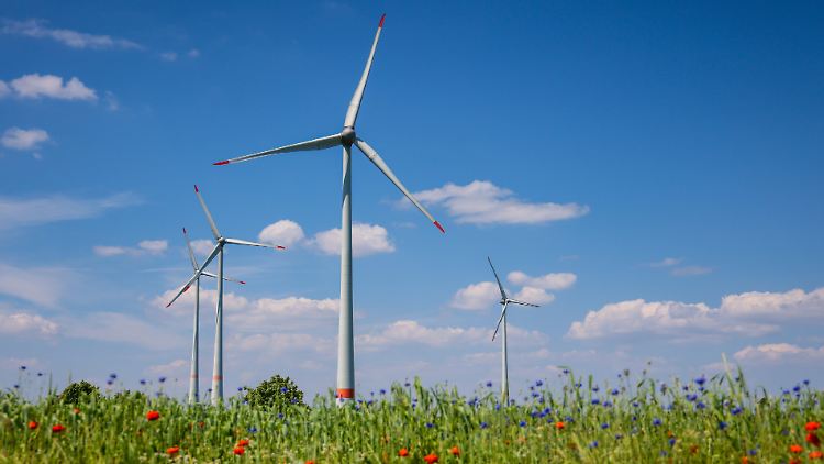 Einzig bei erneuerbarer Energie nahm der Verbrauch im ersten Halbjahr in Deutschland zu. 