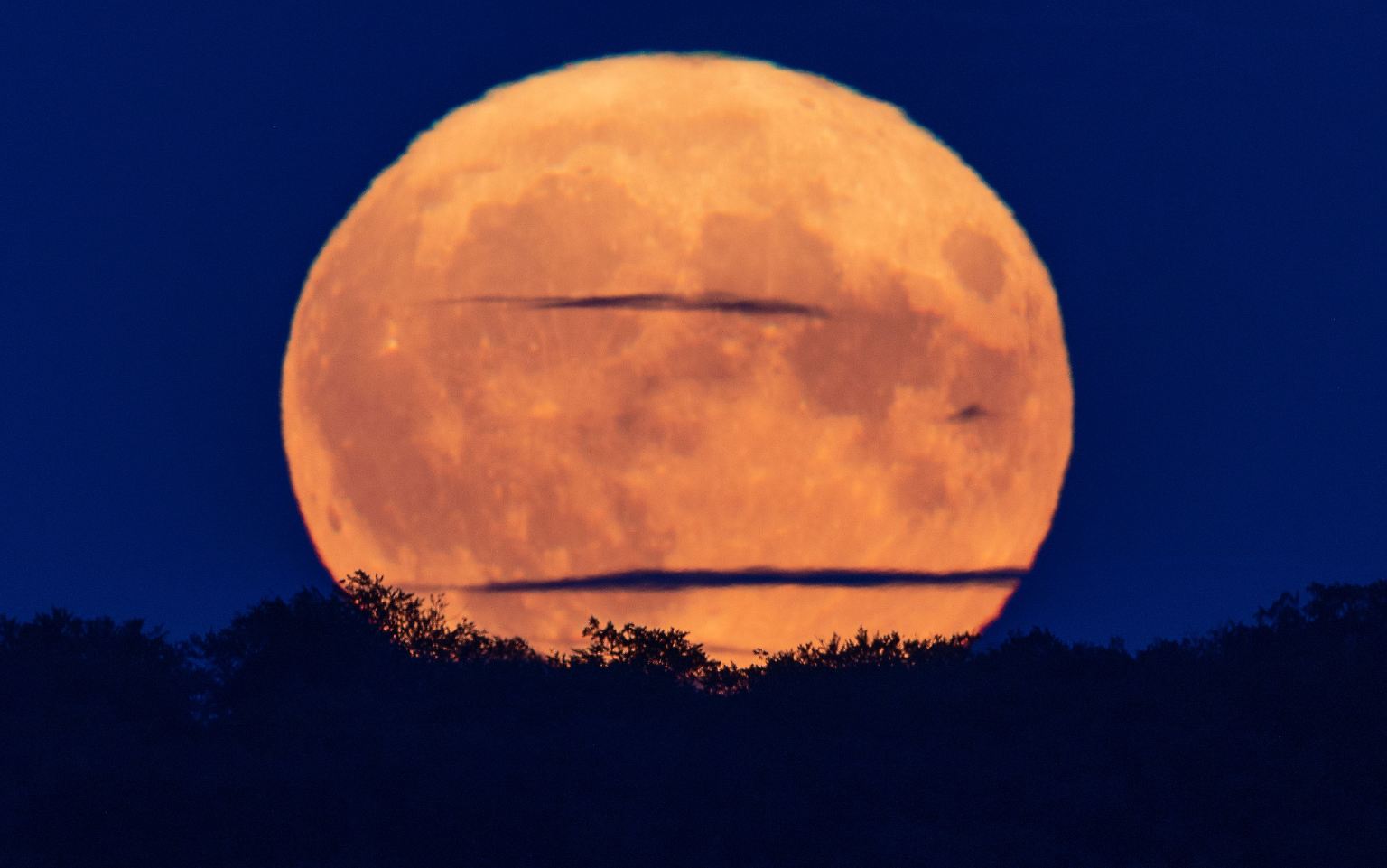 Menschen auf der ganzen Welt sahen in der Nacht zum 2. August einen besonders großen Vollmond - ähnlich wie hier in Schwerin. Auch in ... 