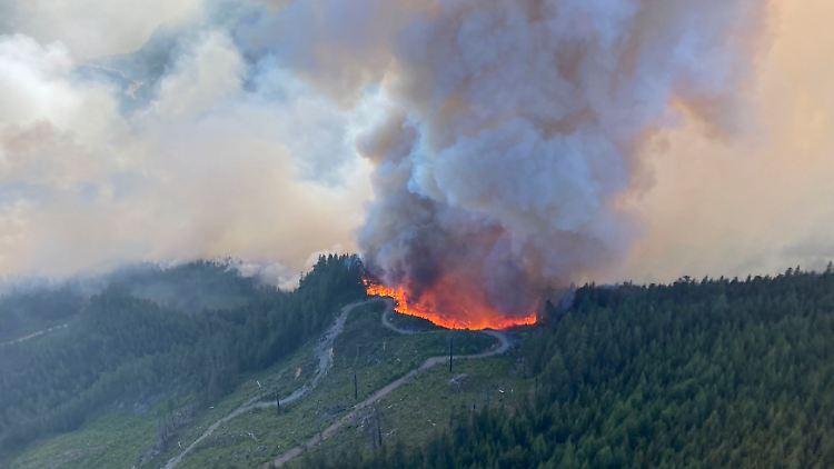 Rekordjahr in Kanada: Ein Luftbild des BC Wildfire Service zeigt Waldbrände in der Küstenregion von British Columbia.
