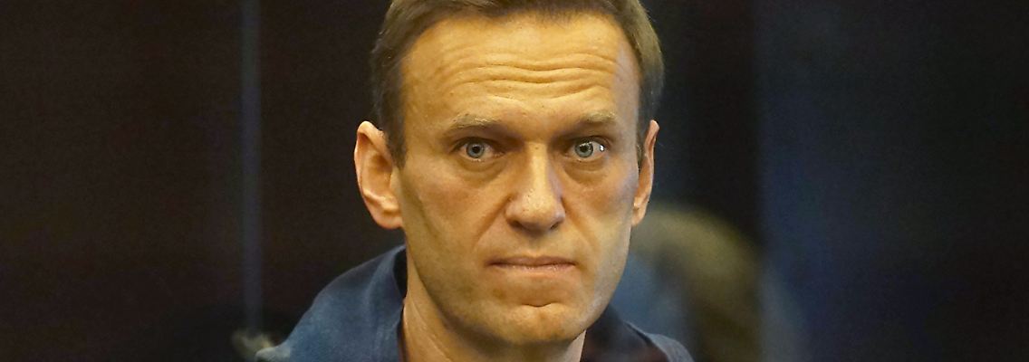 230871981.jpg