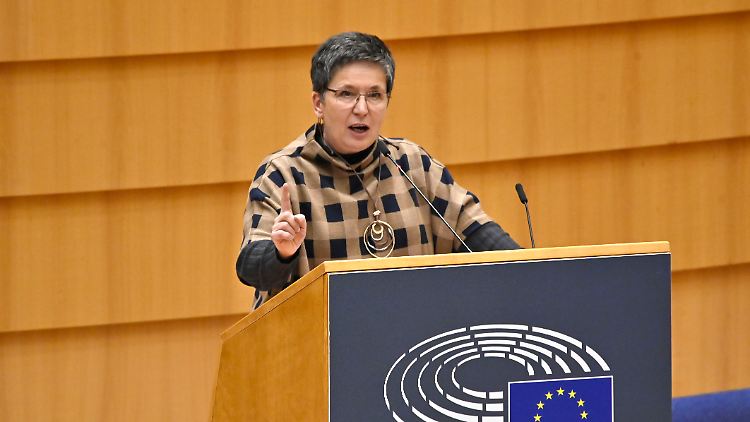Sylvia Limmer verdankt ihren Amtsverlust nach eigenen Worten dem thüringischen AfD-Chef Björn Höcke.