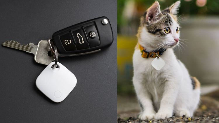 Mit dem Tracker von Aldi lassen sich Gegenstände, aber auch Haustiere oder Personen orten.