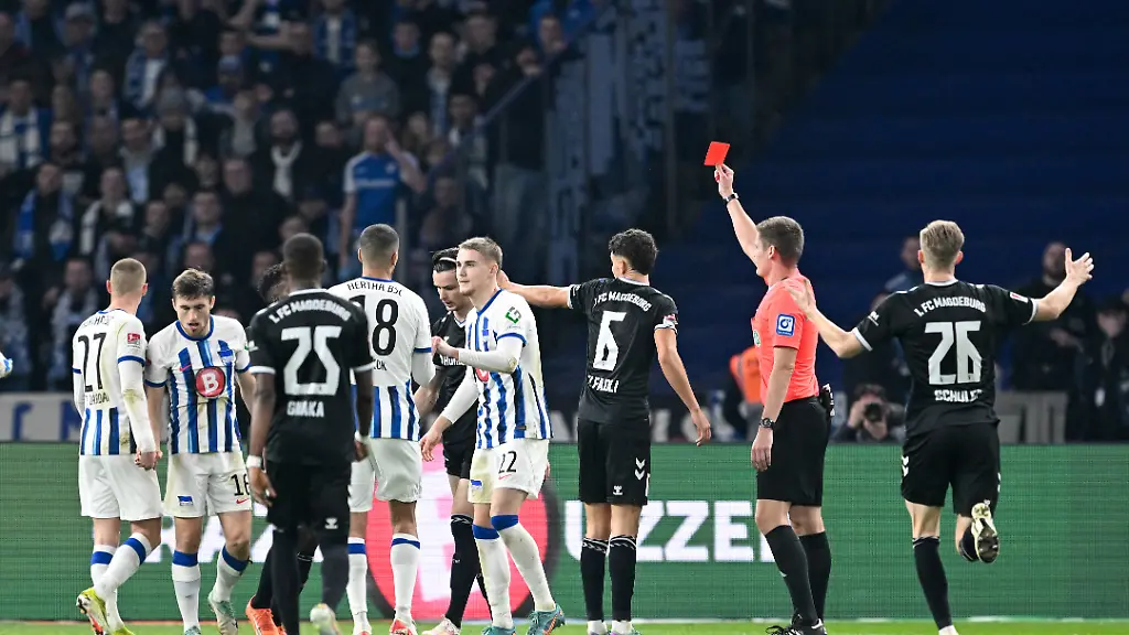 83fff5d7e0566be1028631c96c02b223