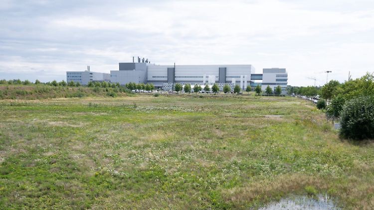 Der IT-Boom in Ostdeutschland setzt sich fort: Der taiwanische Chiphersteller TSMC will zehn Milliarden Euro in den Standort Dresden investieren - die Fabrik soll auf dieser Wiese entstehen.
