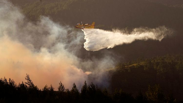 Brände in Portugal haben insgesamt knapp 25.000 Hektar Natur zerstört. 