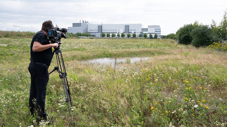 Auf dieser Wiese im Dresdner Stadtteil Klotzsche will TSMC in den nächsten vier Jahren eine Chipfabrik errichten.