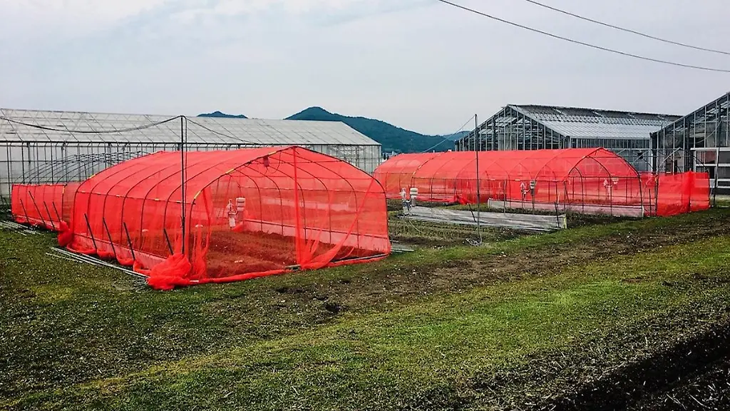 urn-binary-dpa-com-20090101-240213-99-972514-FILED