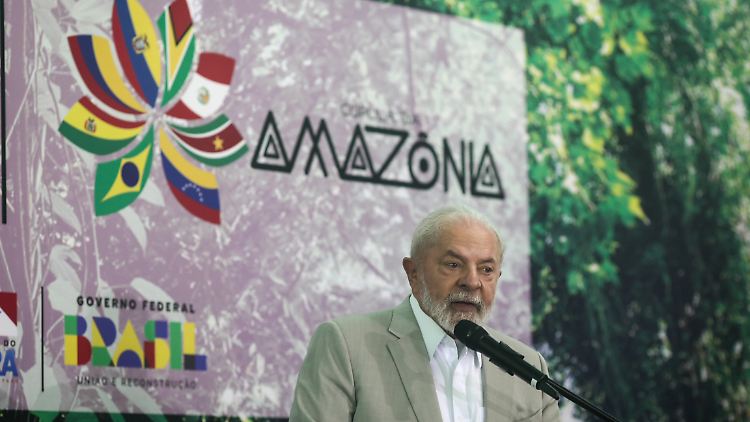 Die Amazonas-Anrainerstaaten in Südamerika wollen beim Umweltschutz künftig enger zusammenarbeiten.