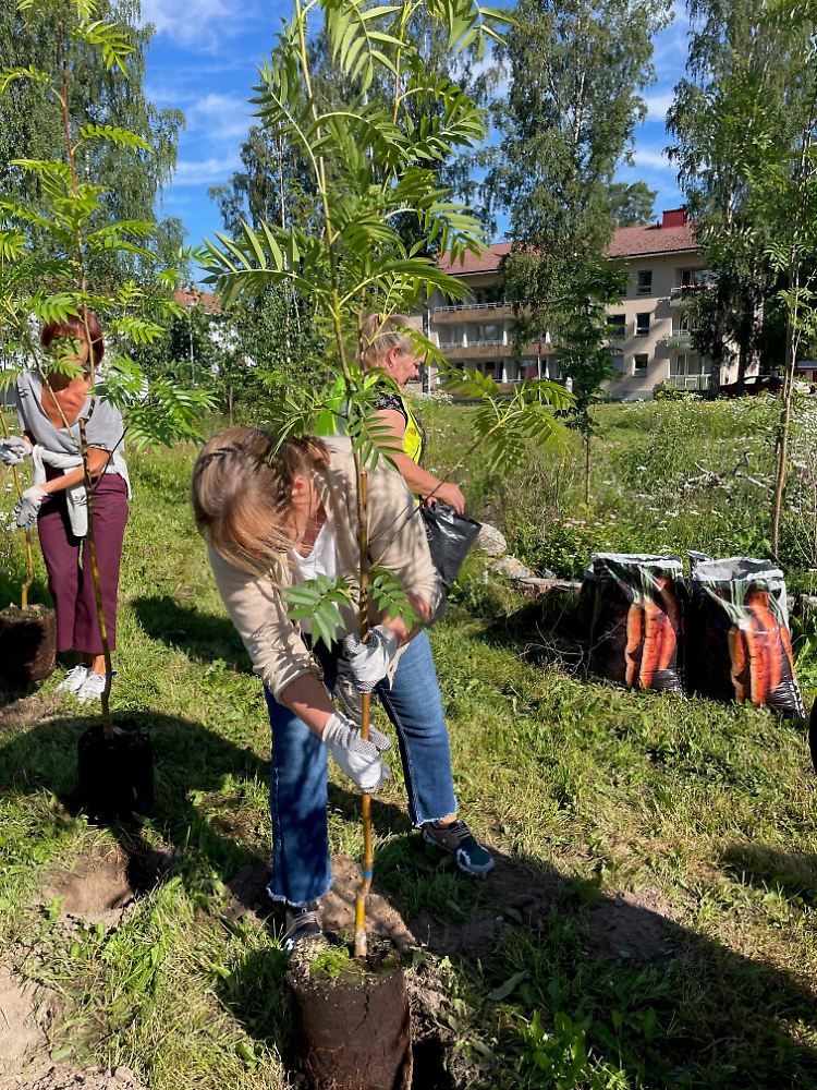 Noch mehr Bäume für ein besseres Klima, mehr Biodiversität und als grünes Wohnzimmer für alle.