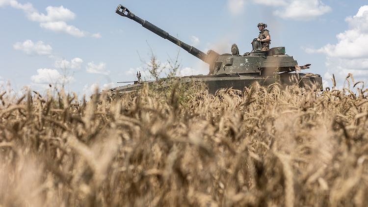 5,5 Tonnen ukrainisches Getreide kann die EU monatlich über ihr Gebiet exportieren.