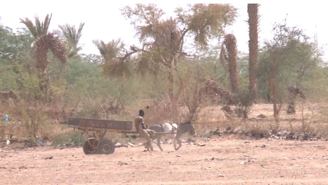 niger.JPG
