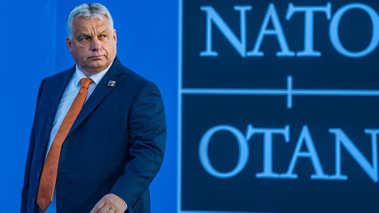 Orban hat sich zum Ziel gesetzt, den Anteil ausländischer Konzerne in manchen Branchen herunterzuschrauben - mit zweifelhaften Methoden.