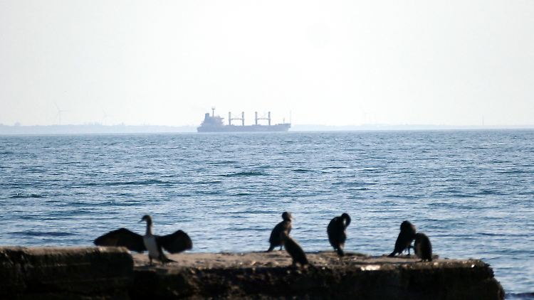 Die Begleitung der See-Korridore im Schwarzen Meer ist nach ukrainischen Angaben durch Kriegsschiffe nicht vorgesehen.