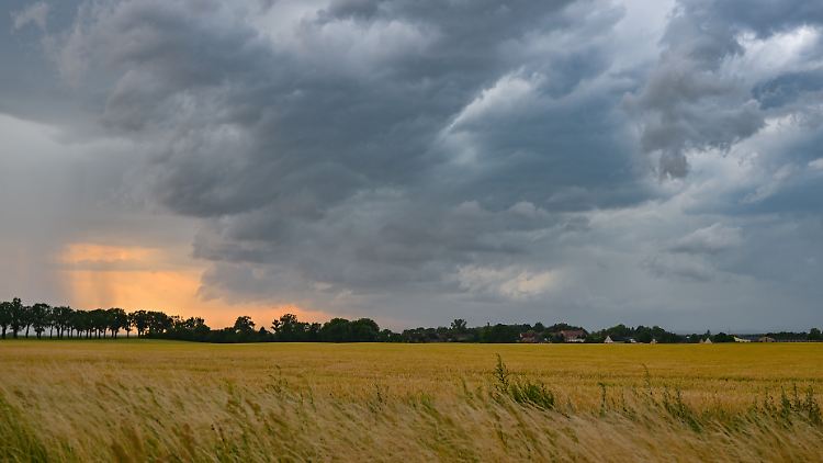 Der sommerliche Badetrip könnte ins Wasser fallen, denn in den nächsten Tagen ziehen dunkle Gewitterwolken auf.