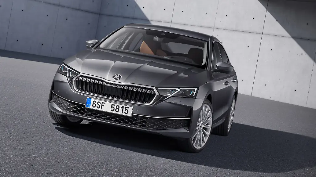 UEberarbeiteter-Octavia-24033