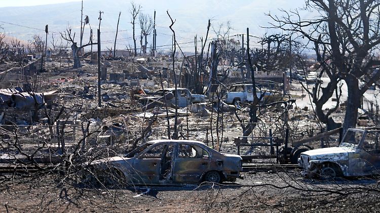 Wegen der verheerenden Wald- und Buschbrände sieht Maui teilweise wie ein Kriegsgebiet aus.