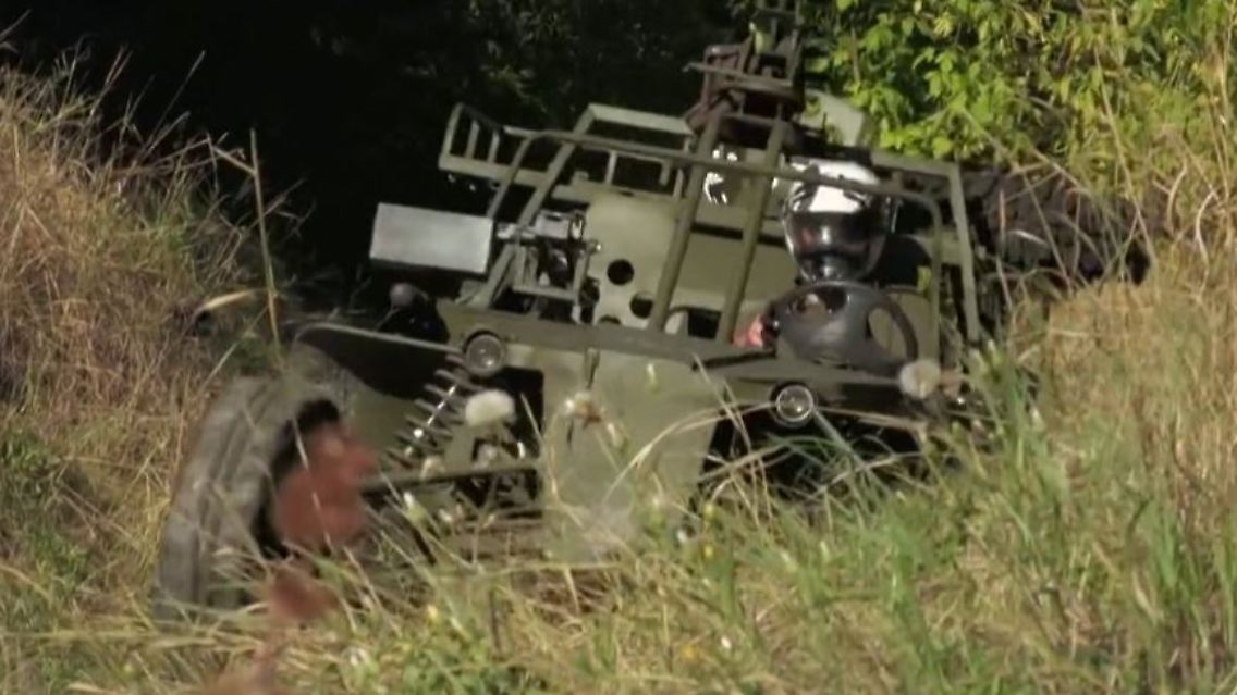 buggy.JPG