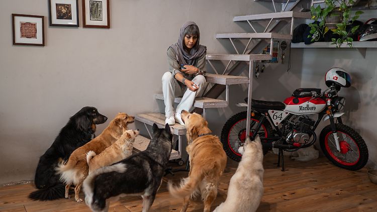 Mariam Talai liebt ihre Hunde und den Motorsport.