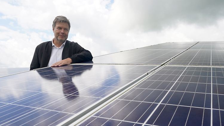 Bundeswirtschaftsminister Robert Habeck steht zwischen Solarmodulen im Solarpark Klein Rheide. 