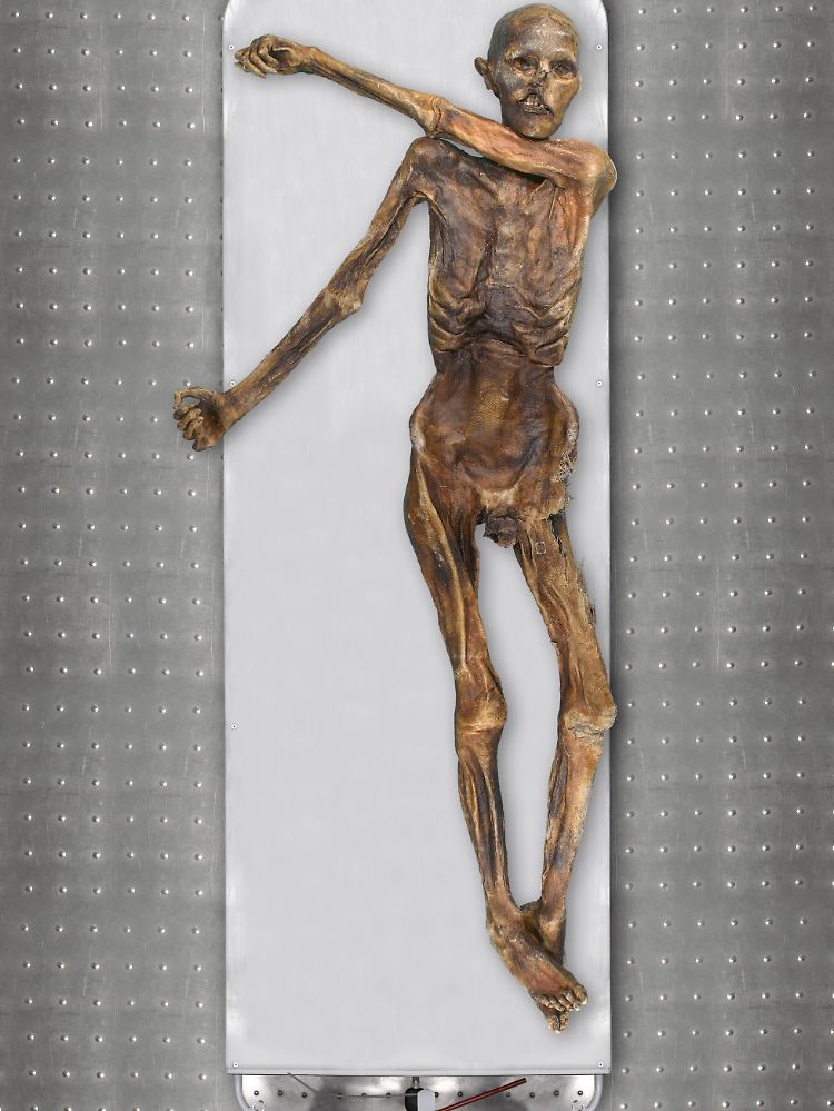 Mumie des Gletschermanns Ötzi.