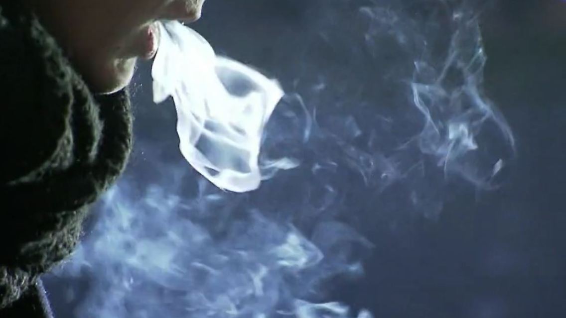 Cannabis.JPG