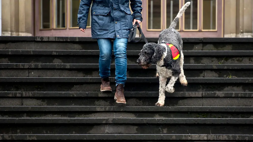 Eine-Frau-geht-mit-ihrem-Assistenzhund-eine-Treppe-runter