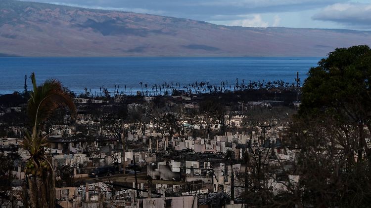 Nach den verheerenden Bränden auf der Insel Maui im US-Bundesstaat Hawaii haben Suchtrupps weitere Leichen in ausgebrannten Gebäuden gefunden.