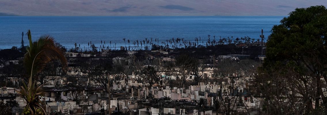Nach den verheerenden Bränden auf der Insel Maui im US-Bundesstaat Hawaii haben Suchtrupps weitere Leichen in ausgebrannten Gebäuden gefunden.
