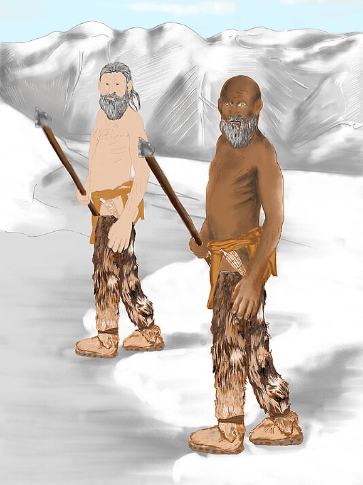 Ötzi war laut der Genomanalyse viel dunkelhäutiger, als bisher angenommen wurde.